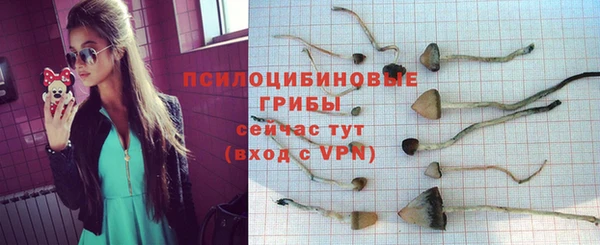 мефедрон мука Новозыбков